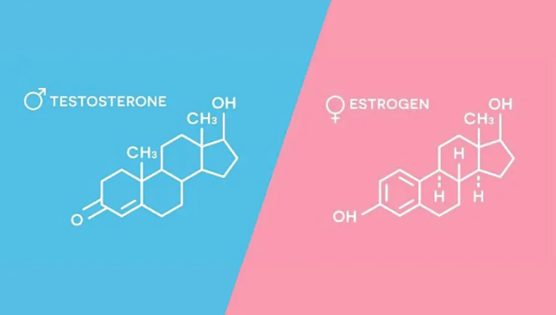 Diferența dintre testosteron și estrogen
